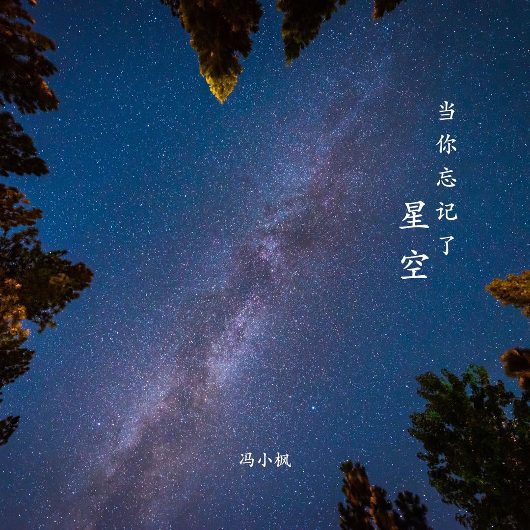 冯小枫-《当你忘记了星空》