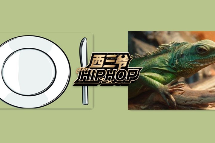 地球上有群喜欢拿蜥蜴下酒的狠人，他们说这玩意比吃小龙虾过瘾…
