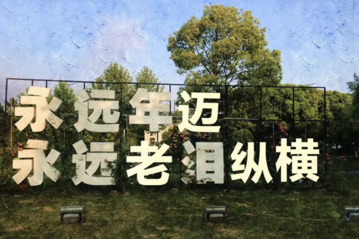 几年没哭过的我，硬是被这帮中年人感动得稀里哗啦…