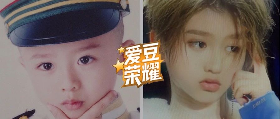 这样Q的爱豆你见过吗？萌力满满惹人爱