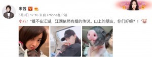 好想变成爱豆养的宠物啊...