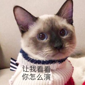 好想变成爱豆养的宠物啊...