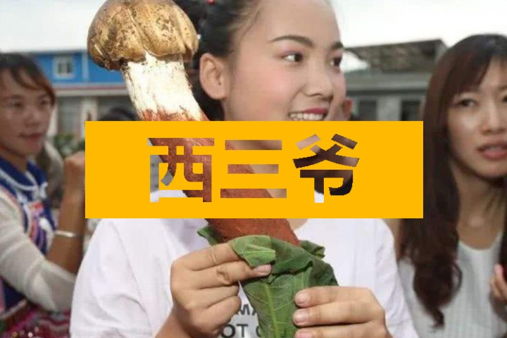西三爷头条封面模版最终