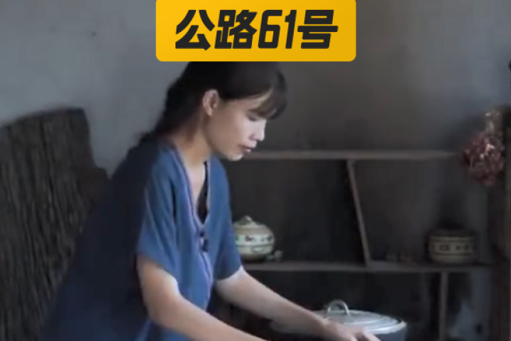 盗版李子柒靠抄袭走红，网友：她的美你抄不来！