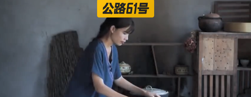 盗版李子柒靠抄袭走红，网友：她的美你抄不来！