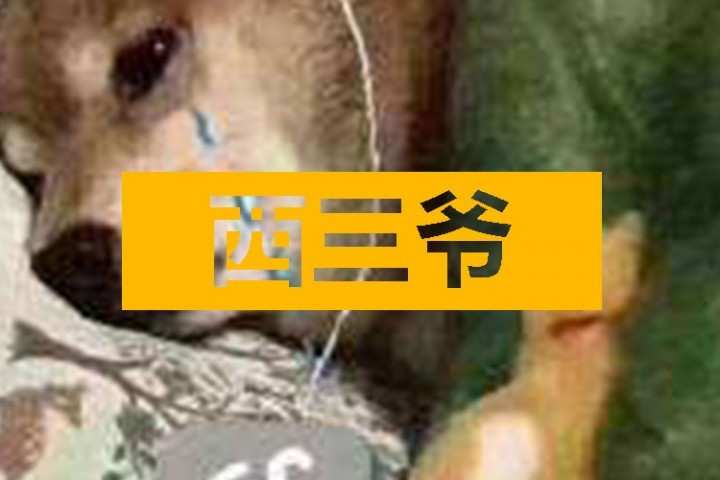 凌晨十二点的“网抑云”，藏着多少重度抑郁症的妖魔鬼怪？