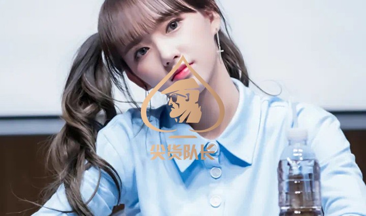 尖货队长(new(1)