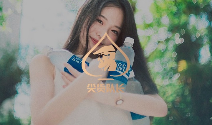 尖货队长(new(1)