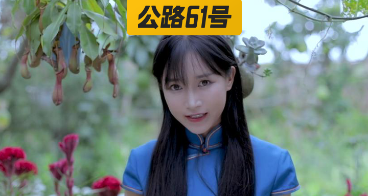 李子柒