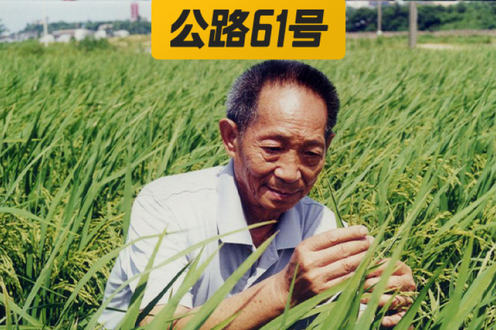 袁隆平逝世2天后，明星天价伙食费让网友炸了
