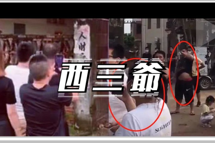 全红婵夺冠后，被无数脑瘫网红堵门直播…