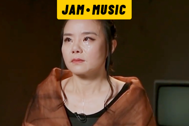 龚琳娜活该被骂