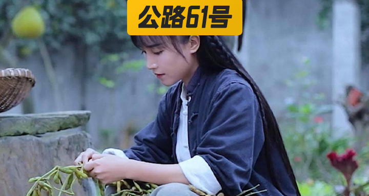 李子柒