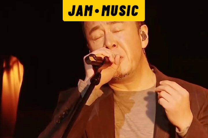 杨坤终于靠它洗白了