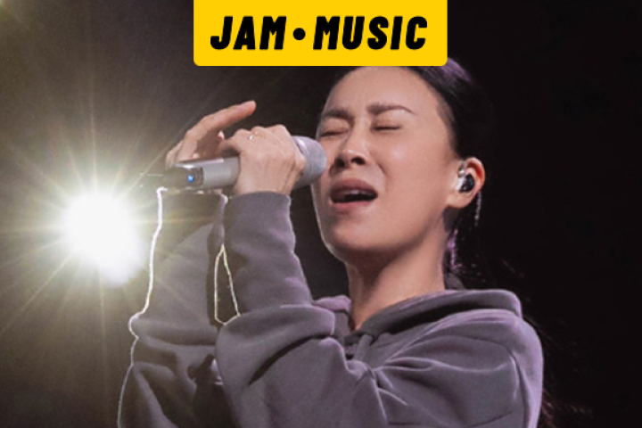 这次谁也黑不了那英
