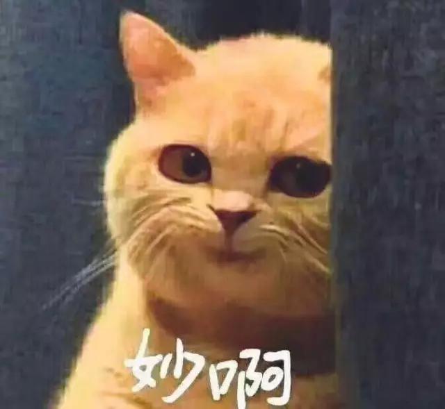 在最新出炉的快男主题曲里,华晨宇用rap怼了一把娱乐圈