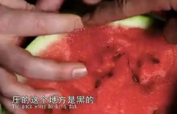 这个世界不流行约炮,流行约架