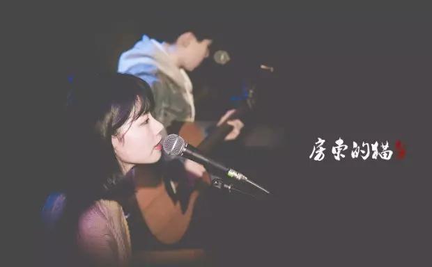 这两只“房东的猫”，把所有的美好生活都唱成歌