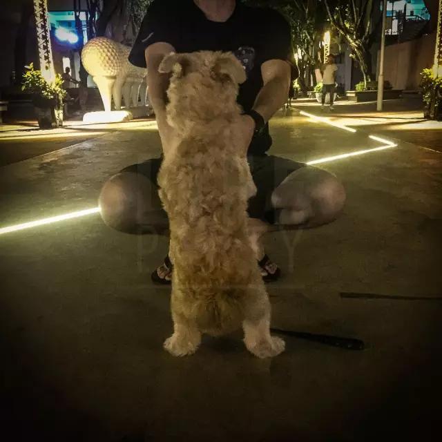 想要在夜跑中变成发光的闪电侠,你得先喷上这款反光喷