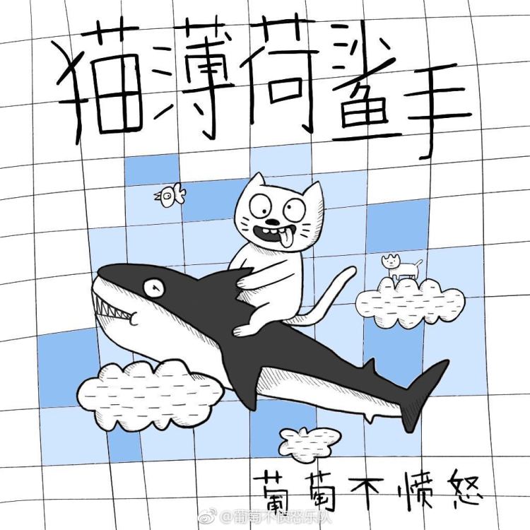 “葡萄不愤怒”乐队新歌首发，一只骑着鲨鱼冲浪的“猫鲨手”