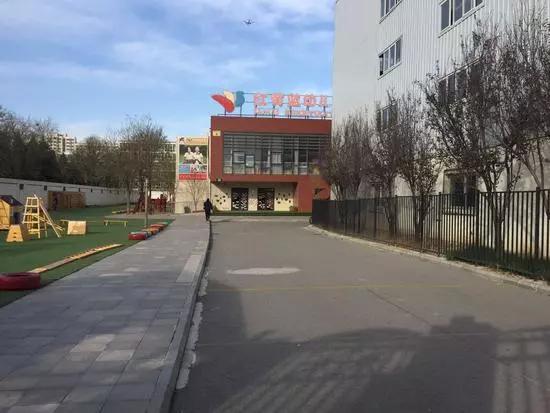 红黄蓝高管喜极而泣: 股价飙涨20%,现在连罪名都洗白了