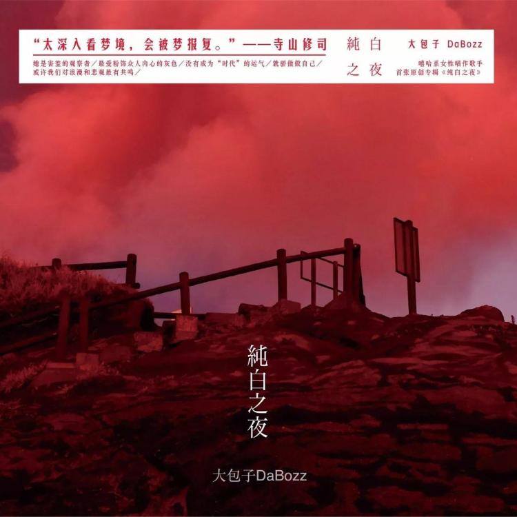 【专访】大包子:极度悲观主义者的背后,隐藏着一个绚烂多彩的音乐世界